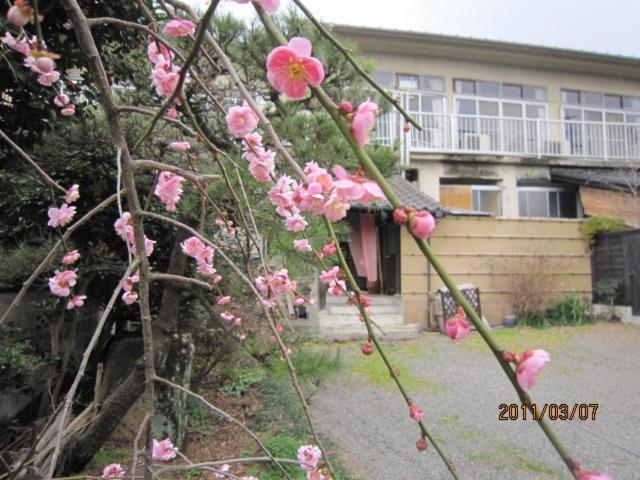 Ryokan Mikasaya Beppu Luaran gambar